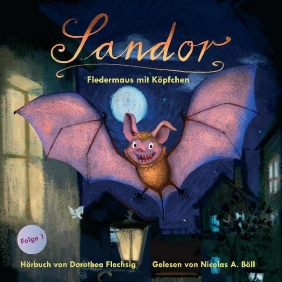 Cover-Bild Sandor – Fledermaus mit Köpfchen