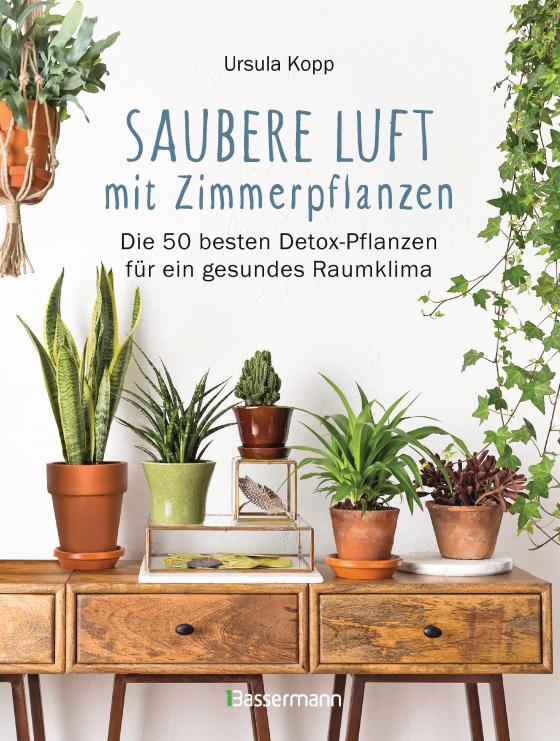 Cover-Bild Saubere Luft mit Zimmerpflanzen