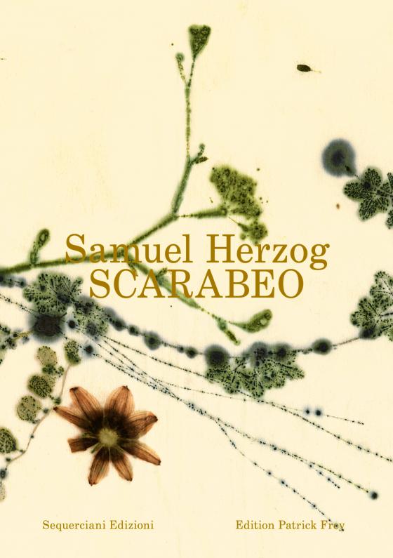 Cover-Bild Scarabeo (DE)