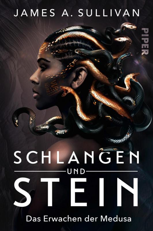 Cover-Bild Schlangen und Stein