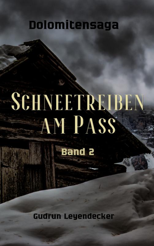 Cover-Bild Schneetreiben am Pass