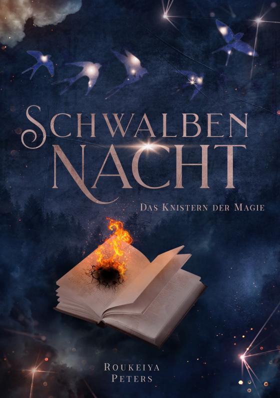 Cover-Bild Schwalbennacht