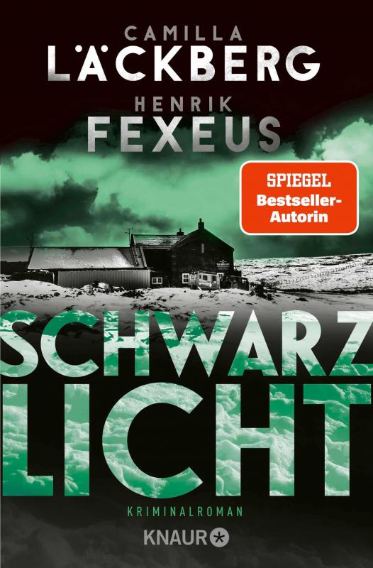 Cover-Bild Schwarzlicht