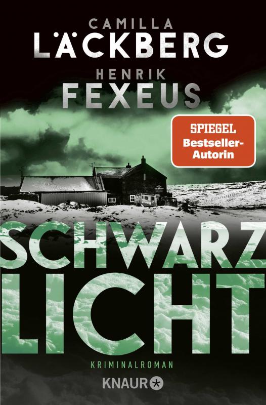 Cover-Bild Schwarzlicht