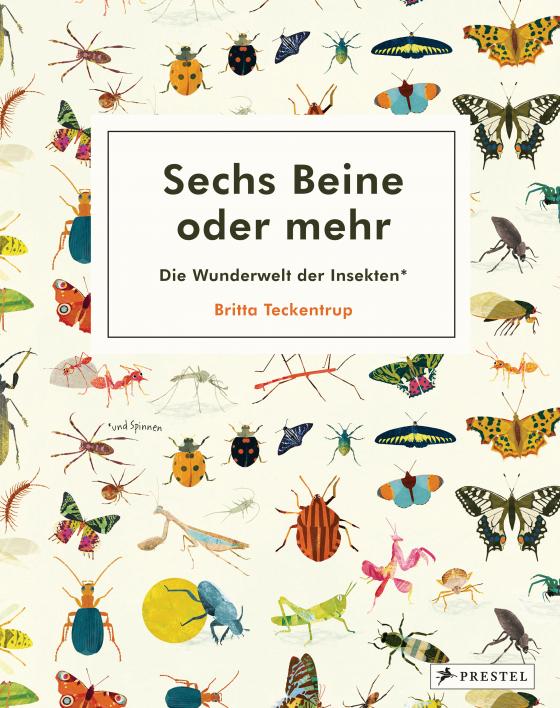 Cover-Bild Sechs Beine oder mehr – Die Wunderwelt der Insekten und Spinnen