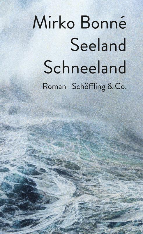 Cover-Bild Seeland Schneeland