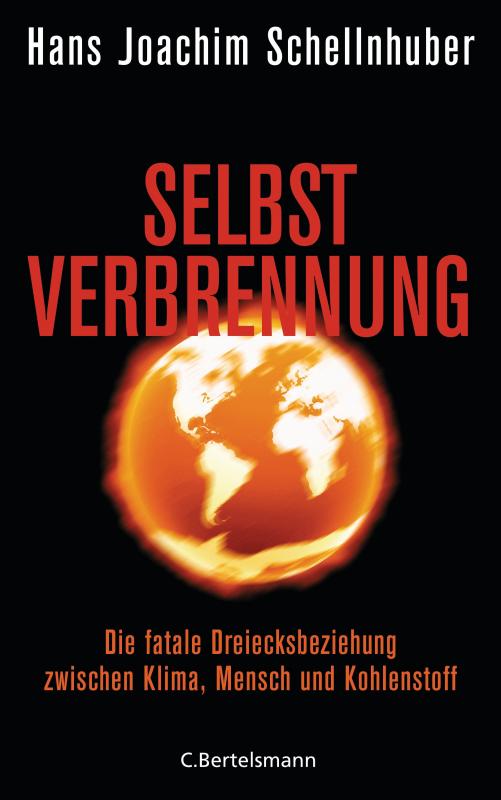Cover-Bild Selbstverbrennung