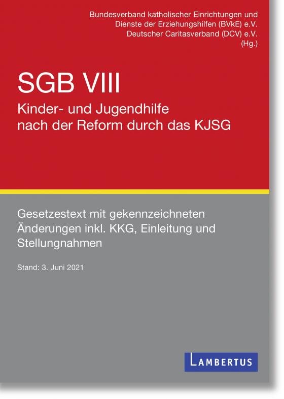 Cover-Bild SGB VIII - Kinder- und Jugendhilfe nach der Reform durch das KJSG