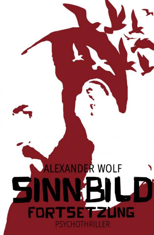 Cover-Bild SINNBILD / SINNBILD Fortsetzung