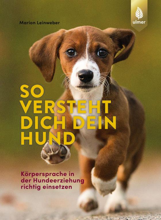 Cover-Bild So versteht dich dein Hund