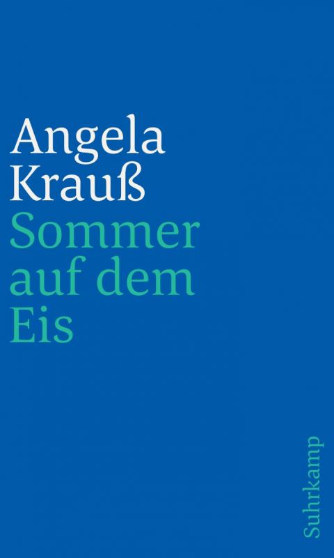 Cover-Bild Sommer auf dem Eis