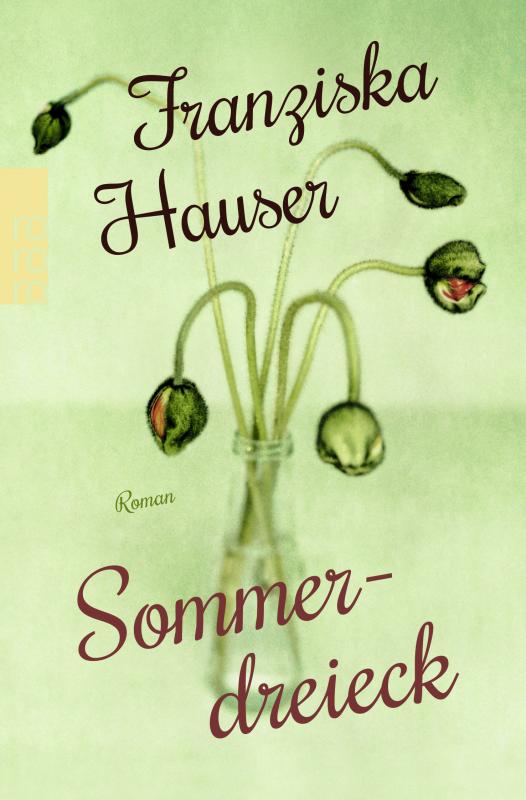 Cover-Bild Sommerdreieck