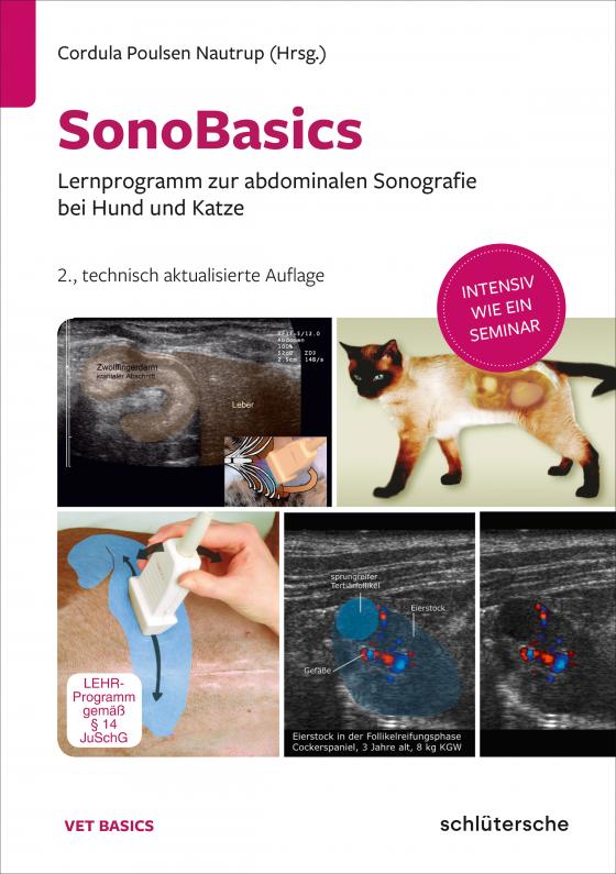 Cover-Bild SonoBasics DVD