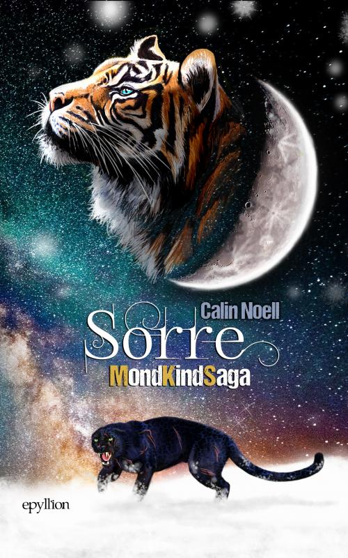 Cover-Bild Sorre