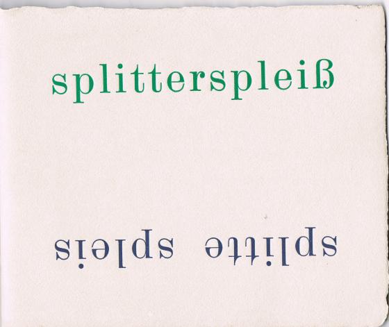 Cover-Bild Splittespleis. splitterspleiß