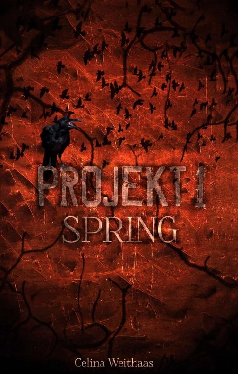 Cover-Bild Spring - Projekt I