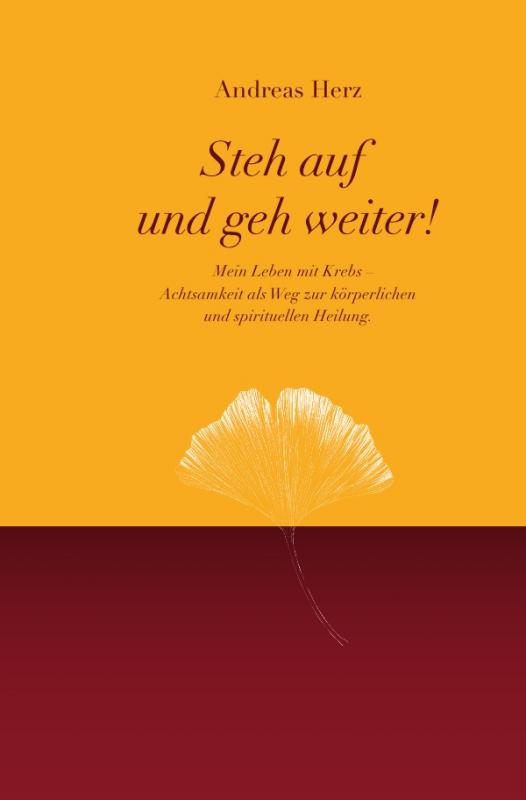 Cover-Bild Steh auf und geh weiter!