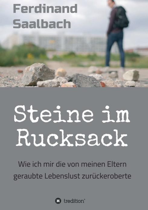 Cover-Bild Steine im Rucksack