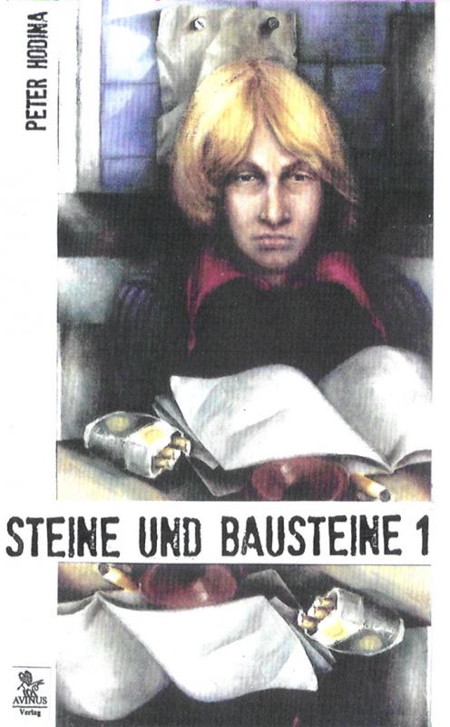 Cover-Bild Steine uind Bausteine 1