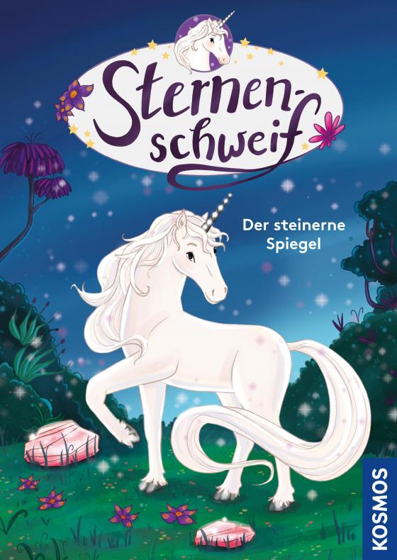 Cover-Bild Sternenschweif, 3, Der steinerne Spiegel