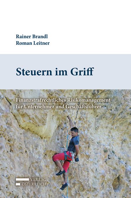 Cover-Bild Steuern im Griff