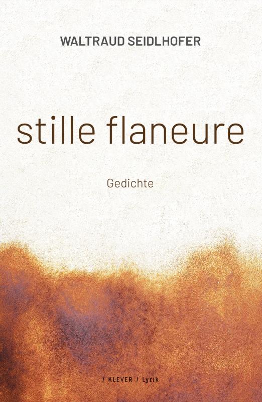 Cover-Bild stille flaneure
