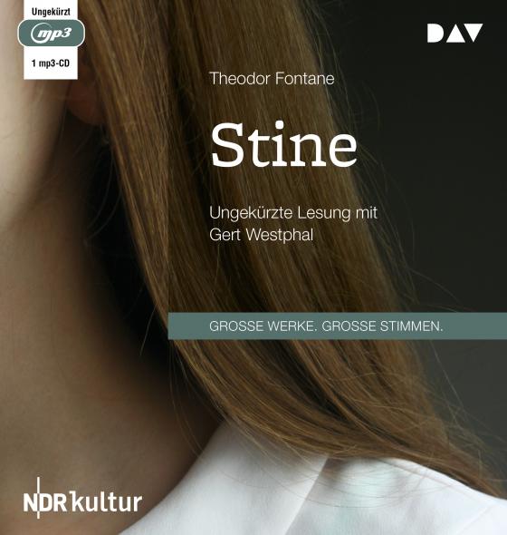Cover-Bild Stine