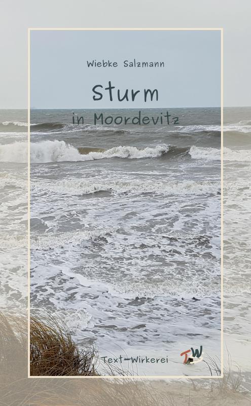 Cover-Bild Sturm in Moordevitz