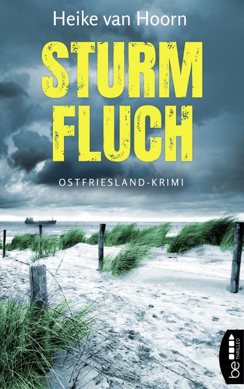 Cover-Bild Sturmfluch