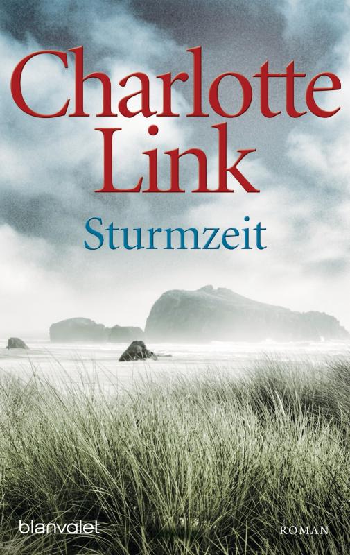 Cover-Bild Sturmzeit