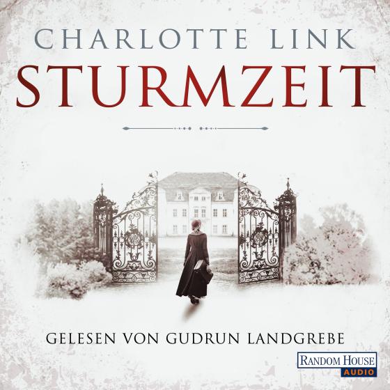 Cover-Bild Sturmzeit