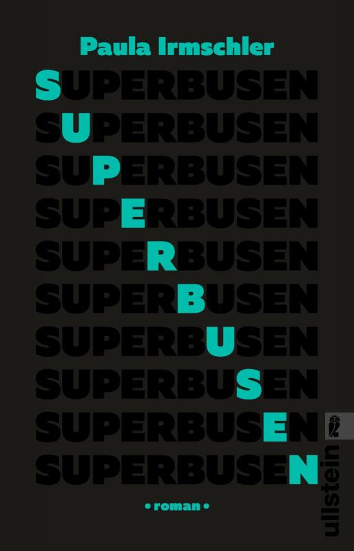 Cover-Bild Superbusen