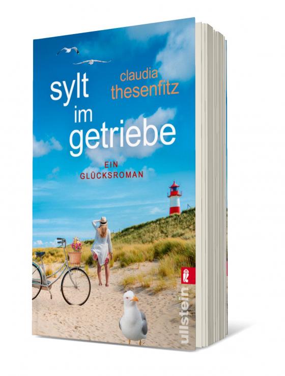 Cover-Bild Sylt im Getriebe