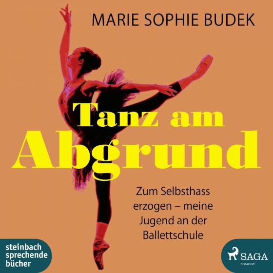 Cover-Bild Tanz am Abgrund