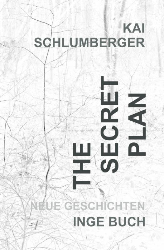 Cover-Bild The secret plan oder der Weg ins Licht
