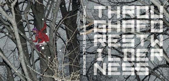 Cover-Bild THROUGH A FOREST WILDERNESS