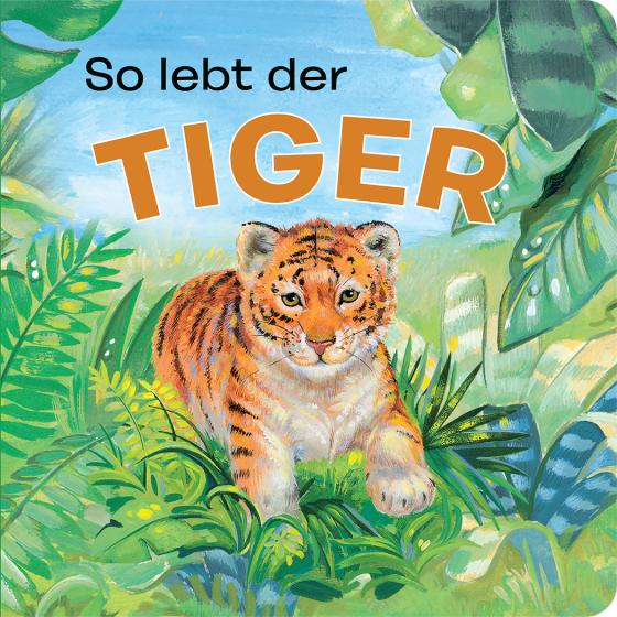 Cover-Bild Tierkindergeschichten - So lebt der Tiger - Pappbilderbuch mit farbigen Illustrationen für Kinder ab 18 Monaten