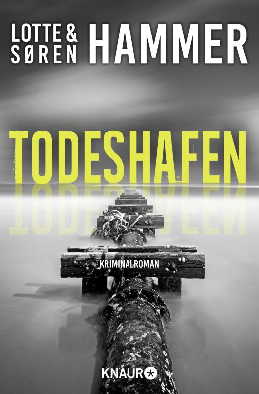 Cover-Bild Todeshafen