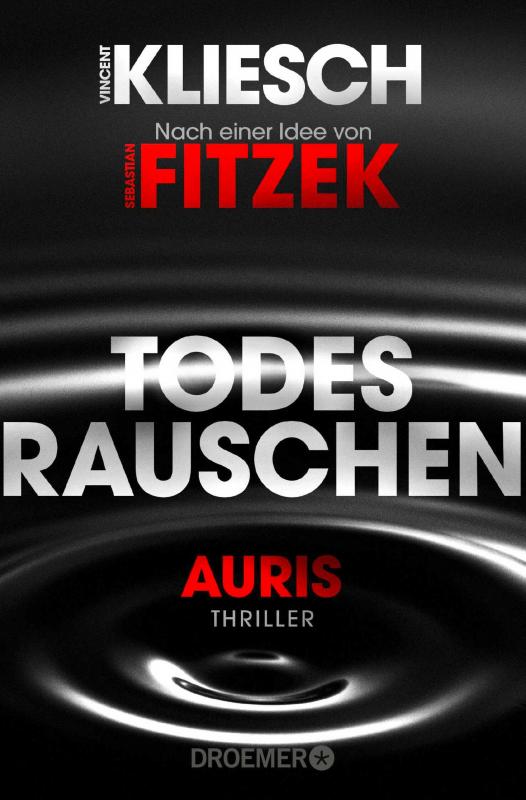 Cover-Bild Todesrauschen