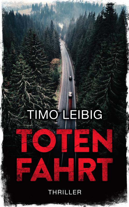 Cover-Bild Totenfahrt: Thriller