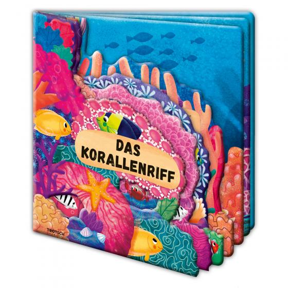 Cover-Bild Trötsch Fensterbuch Das Korallenriff