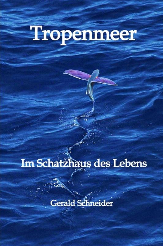 Cover-Bild Tropenmeer