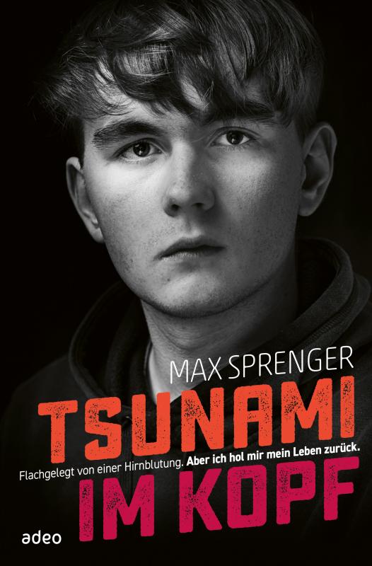 Cover-Bild Tsunami im Kopf