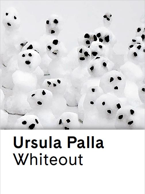 Cover-Bild Ursula Palla. Whiteout