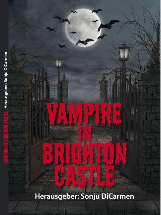 Cover-Bild Vampire in Brighton Castle