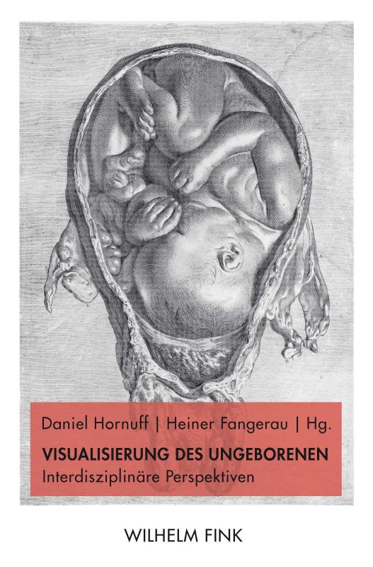 Cover-Bild Visualisierung des Ungeborenen