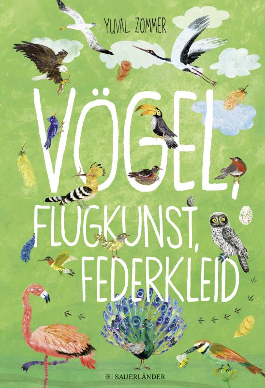 Cover-Bild Vögel, Flugkunst, Federkleid