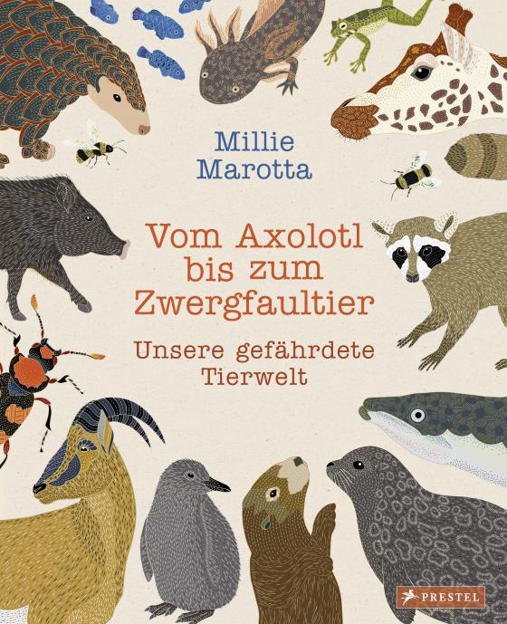 Cover-Bild Vom Axolotl zum Zwergfaultier