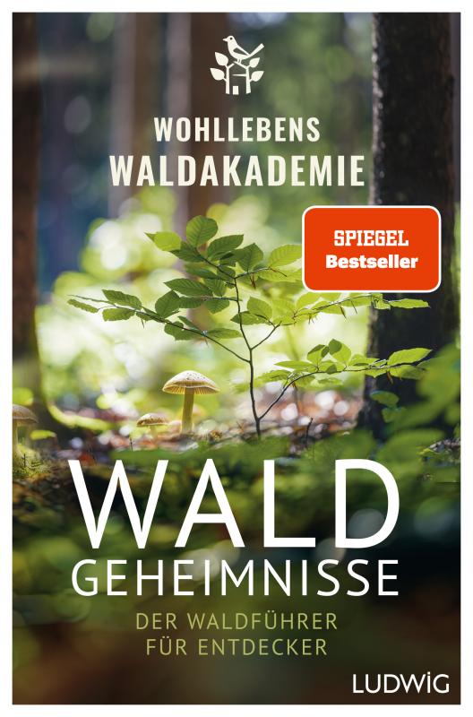 Cover-Bild Waldgeheimnisse