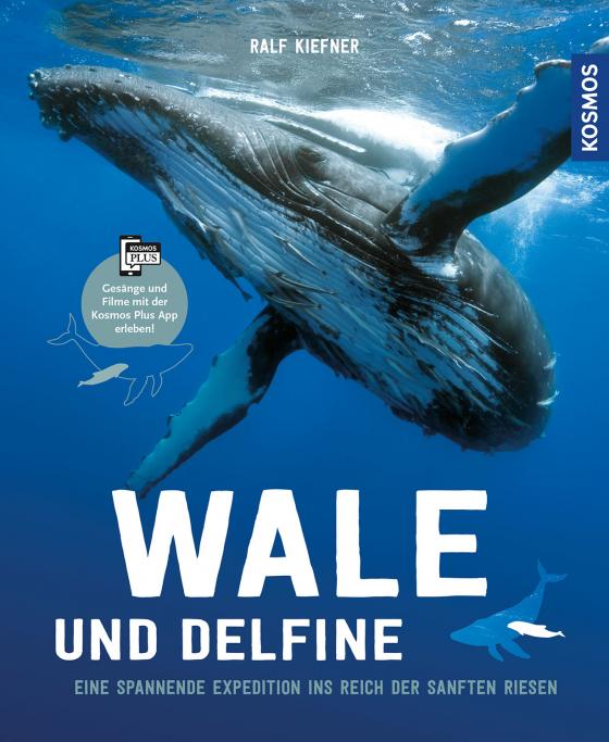 Cover-Bild Wale & Delfine
